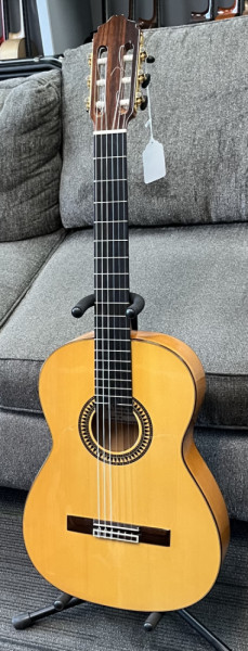 Luis Molina Flamenco Guitar