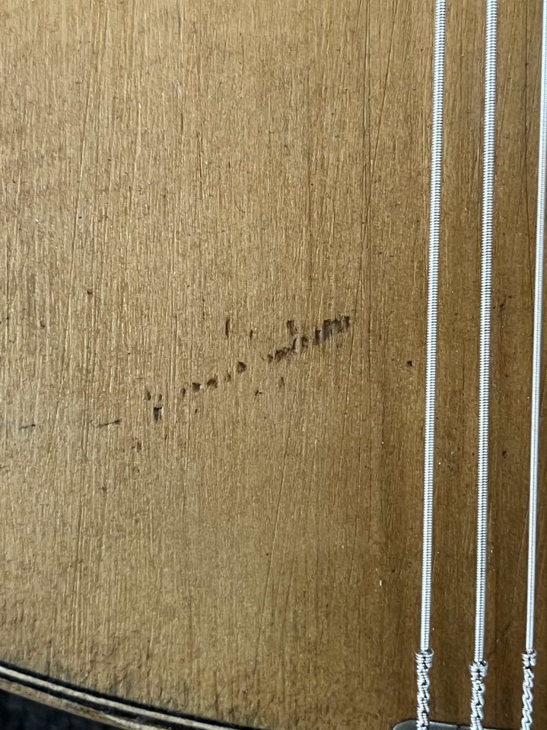 1931 Domingo Esteso Laud